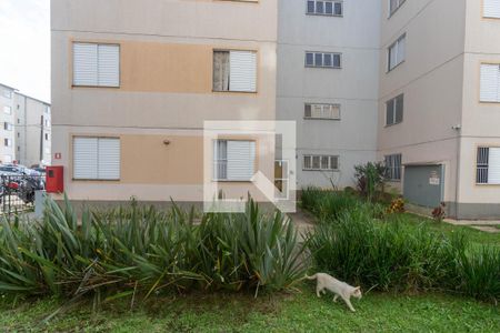 Vista do quarto 1  de apartamento para alugar com 2 quartos, 47m² em Jardim Apura, Diadema