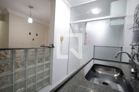 Cozinha de apartamento para alugar com 2 quartos, 49m² em Parque Sao Vicente, Santo André