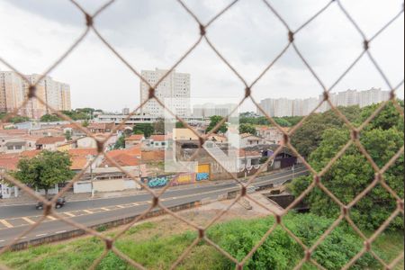 Vista do Quarto 1 de apartamento à venda com 2 quartos, 48m² em Vila Satúrnia, Campinas