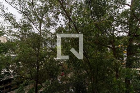 Sala Varanda de apartamento para alugar com 2 quartos, 50m² em Jardim Taquaral, São Paulo