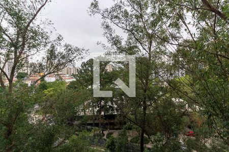 Sala Varanda de apartamento para alugar com 2 quartos, 50m² em Jardim Taquaral, São Paulo