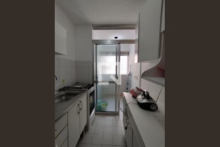 Cozinha - Armários de apartamento à venda com 3 quartos, 62m² em Jardim Santa Emilia, São Paulo