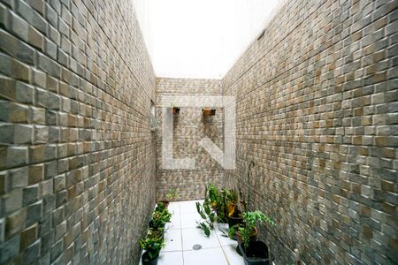 Jardim de inverno de casa para alugar com 3 quartos, 100m² em Vila Matilde, São Paulo