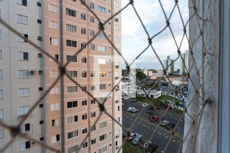 Vista do Quarto 1 de apartamento para alugar com 2 quartos, 46m² em Fundacao da Casa Popular, Campinas