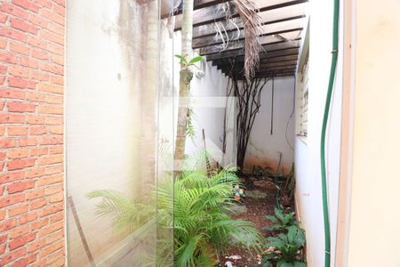 Jardim de Inverno de casa para alugar com 4 quartos, 197m² em Santa Mônica, Uberlândia
