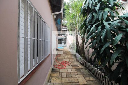 Corredor externo de casa para alugar com 4 quartos, 401m² em Instituto de Previdencia, São Paulo