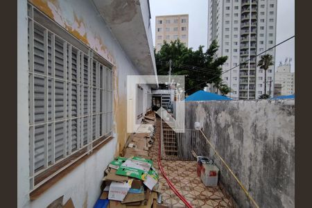 Quintal  de casa à venda com 3 quartos, 303m² em Vila da Saúde, São Paulo