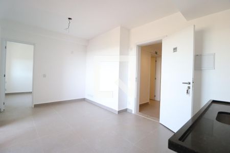 Sala/Cozinha de apartamento para alugar com 1 quarto, 44m² em Granja Marileusa, Uberlândia