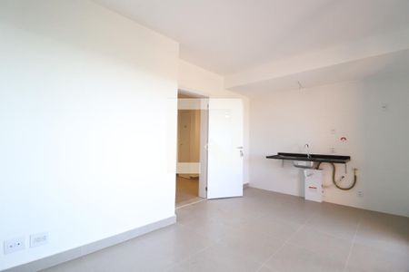 Sala/Cozinha de apartamento para alugar com 1 quarto, 44m² em Granja Marileusa, Uberlândia