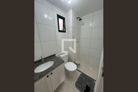 Banheiro de apartamento para alugar com 2 quartos, 50m² em Usina Piratininga, São Paulo