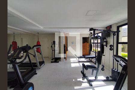 Área comum - Academia de apartamento à venda com 3 quartos, 94m² em Vila Vermelha, São Paulo