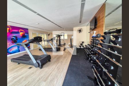 Academia de apartamento para alugar com 1 quarto, 30m² em Santa Ifigênia, São Paulo