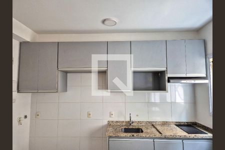 Cozinha - Armários de apartamento para alugar com 1 quarto, 30m² em Santa Ifigênia, São Paulo