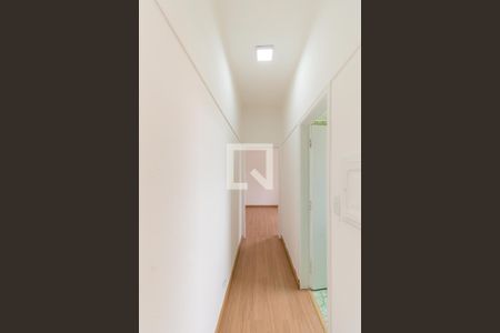 Corredor de apartamento para alugar com 1 quarto, 56m² em Vila Prudente, São Paulo