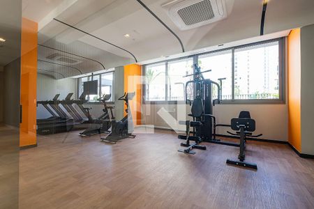 Academia de apartamento para alugar com 1 quarto, 25m² em Pinheiros, São Paulo
