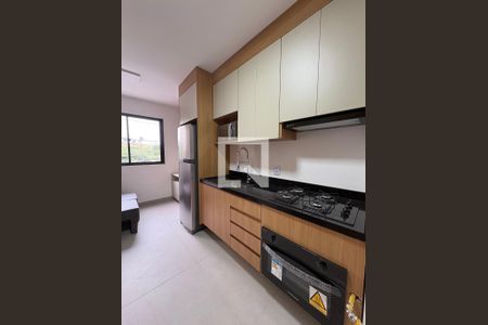 Cozinha de apartamento para alugar com 1 quarto, 30m² em Jardim Oriental, São Paulo