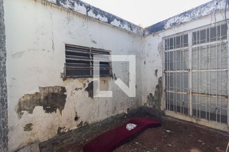 Sala - Jardim de inverno de casa à venda com 3 quartos, 250m² em Jardim Campo Grande, São Paulo