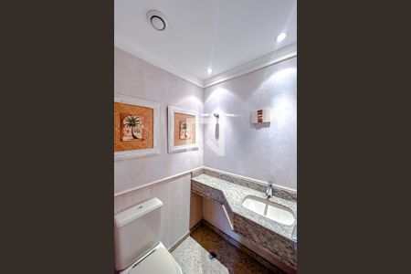 Lavabo de apartamento para alugar com 3 quartos, 127m² em Vila Gomes Cardim, São Paulo