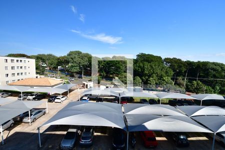 Quarto 1 - Vista de apartamento à venda com 2 quartos, 49m² em Vila 31 de Março, Campinas