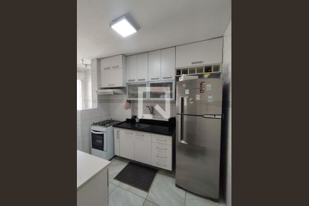 Cozinha - Armários de apartamento à venda com 2 quartos, 66m² em Vila Moraes, São Paulo