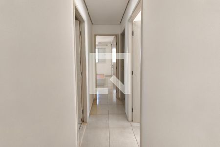 Corredor - Quartos de apartamento para alugar com 3 quartos, 77m² em Jardim Santa Eudoxia, Campinas