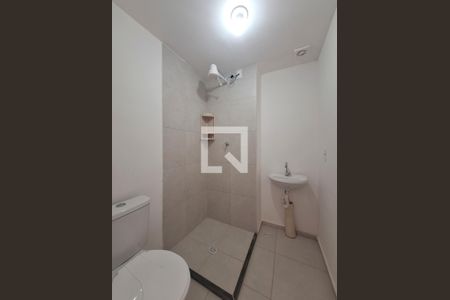 Banheiro de apartamento para alugar com 2 quartos, 35m² em Parque Pan Americano, São Paulo