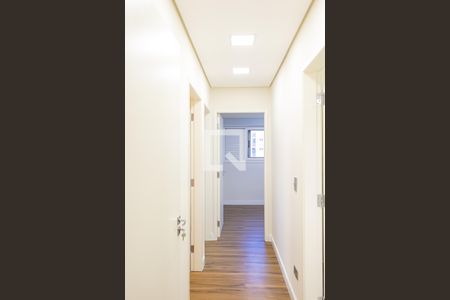 Corredor de apartamento para alugar com 3 quartos, 76m² em Vila Olímpia, São Paulo