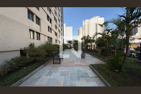 Apartamento para alugar com 2 quartos, 65m² em Aclimação, São Paulo