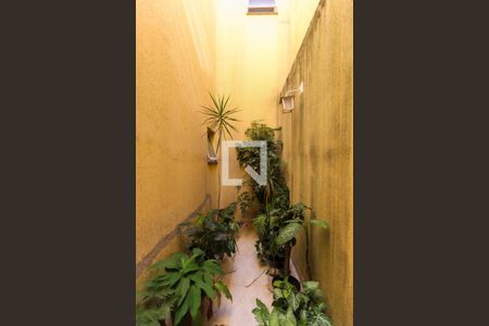 Jardim de Inverno de casa para alugar com 3 quartos, 123m² em Vila Progresso (zona Leste), São Paulo