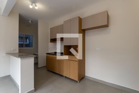 Cozinha Americana de apartamento para alugar com 2 quartos, 46m² em Barra Funda, São Paulo