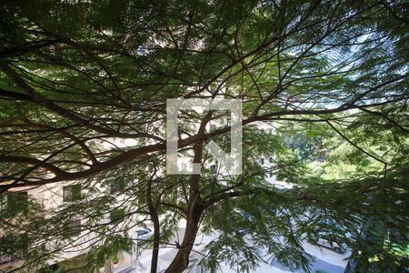 Vista da Varanda da Sala de apartamento para alugar com 3 quartos, 72m² em Panamby, São Paulo