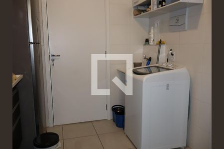 Cozinha e Área de Serviço de apartamento para alugar com 1 quarto, 29m² em Vila Ema, São Paulo