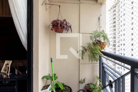 Varanda da Sala de apartamento à venda com 3 quartos, 85m² em Lauzane Paulista, São Paulo