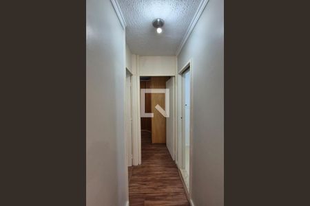 Corredor  de apartamento à venda com 2 quartos, 47m² em Parque Italia, Campinas