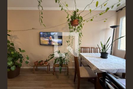 Kitnet/Studio para alugar com 1 quarto, 40m² em Vila Buarque, São Paulo