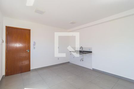 Cozinha de apartamento para alugar com 1 quarto, 37m² em Belenzinho, São Paulo