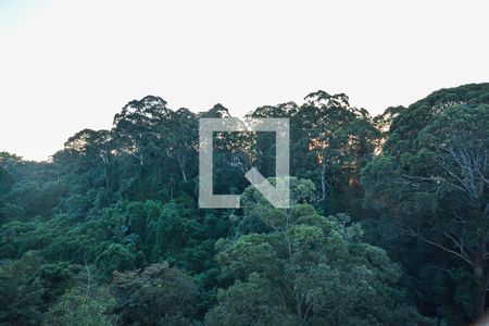 Apartamento à venda com 3 quartos, 68m² em Jardim Taquaral, São Paulo