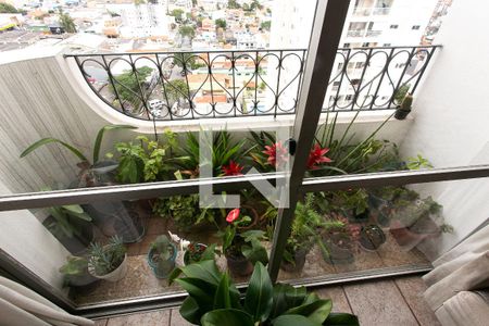 Sala de apartamento à venda com 3 quartos, 114m² em Vila Matilde, São Paulo