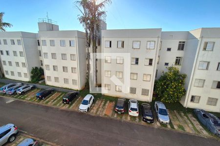 Vista do Quarto 1  de apartamento para alugar com 2 quartos, 50m² em Jardim Miranda, Campinas