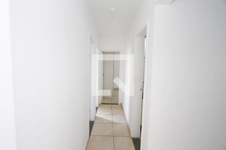 Corredor de apartamento à venda com 4 quartos, 85m² em Buritis, Belo Horizonte