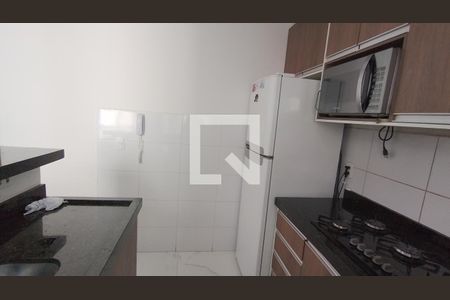 Cozinha  de apartamento para alugar com 2 quartos, 42m² em Parque Santa Rosa, Suzano