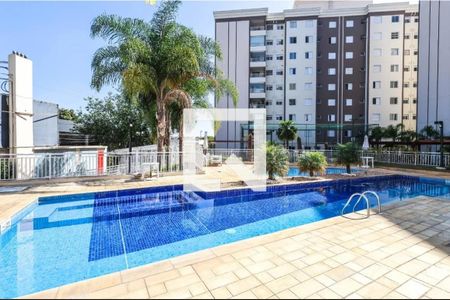 Área comum - Piscina de apartamento para alugar com 2 quartos, 59m² em Vila Caraguata, São Paulo