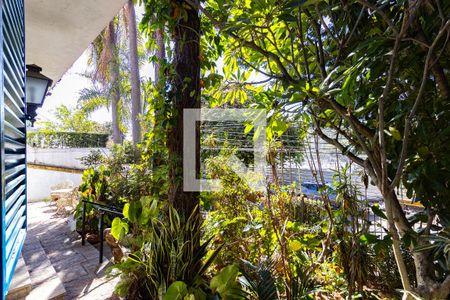 Sala de casa para alugar com 4 quartos, 220m² em Jardim Leonor, São Paulo