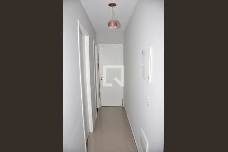 Detalhe - Corredor Quartos de apartamento para alugar com 2 quartos, 49m² em Jardim Cidade Pirituba, São Paulo