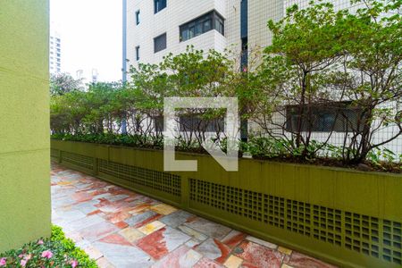 Vista da Sacada da Sala de apartamento para alugar com 2 quartos, 54m² em Vila Mascote, São Paulo