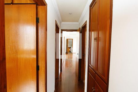 Corredor de apartamento para alugar com 3 quartos, 115m² em Padre Eustáquio, Belo Horizonte