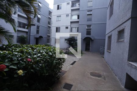 Apartamento para alugar com 2 quartos, 59m² em Jardim Planalto, Goiânia