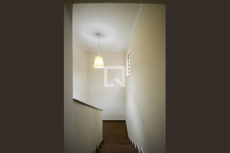 Escada de casa para alugar com 5 quartos, 265m² em Vila Nina, São Paulo