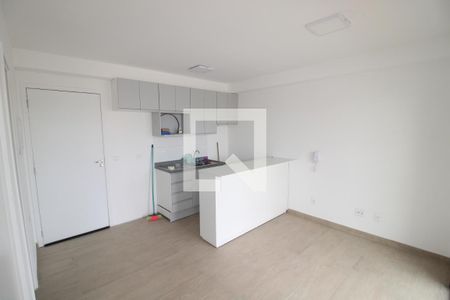 Sala / Cozinha de apartamento à venda com 1 quarto, 30m² em Parada Inglesa, São Paulo