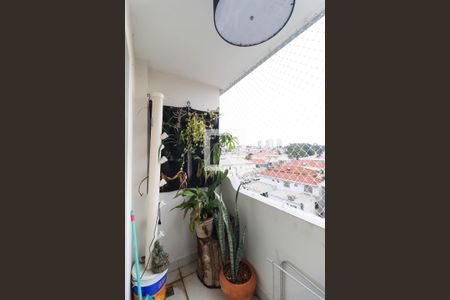 Apartamento à venda com 2 quartos, 72m² em Vila Mazzei, São Paulo
